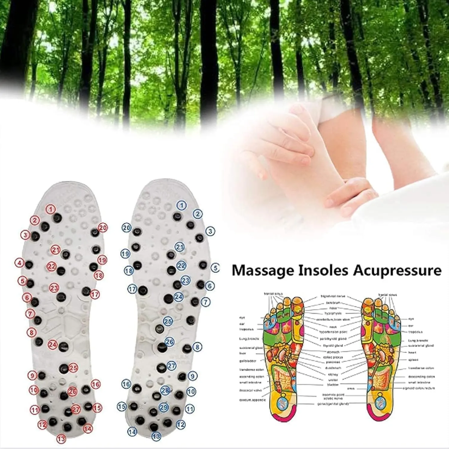 Magnetic Massage Insoles, Acupressure Magnetic Insoles for Weight Loss, Orthopedic Insoles, Reflexology Pain Relief Shoe Insoles for Plantar Fasciitis,42